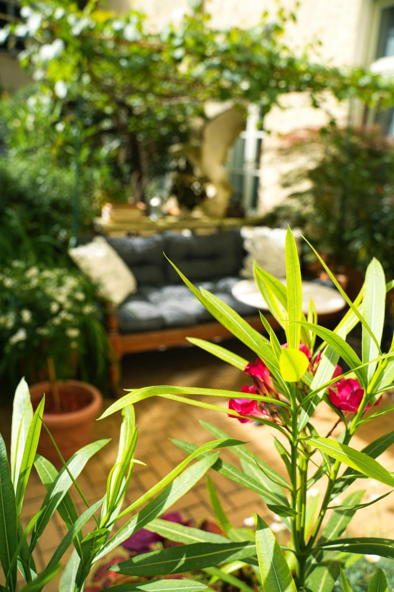 Honigmond Boutique Hotel Berlín Exteriér fotografie